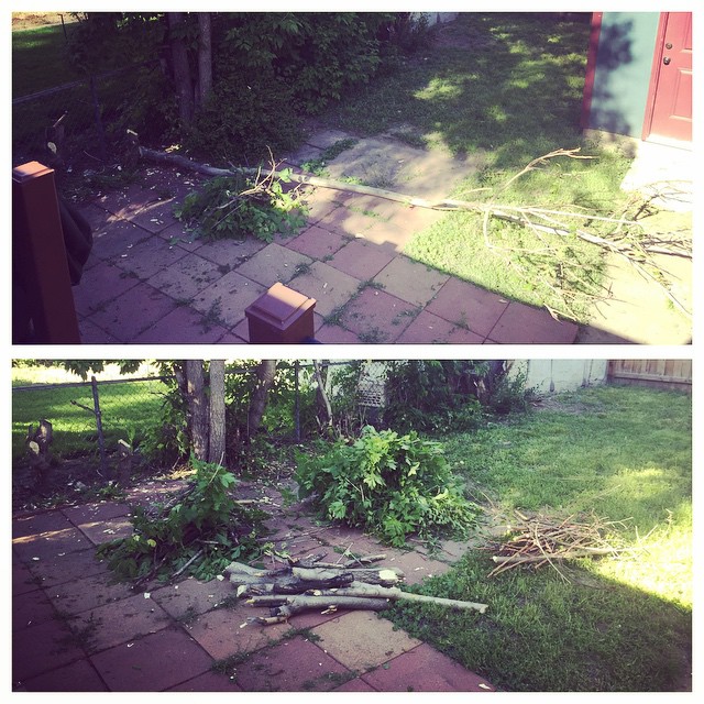 Operation Sumac Devastation is in full effect #homeownerlife