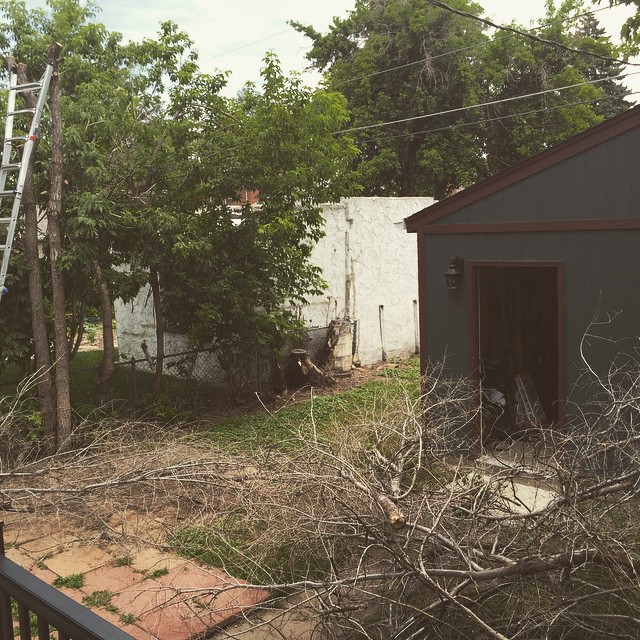 Earning more beer. Note the ladder. Getting my lumberjack on.