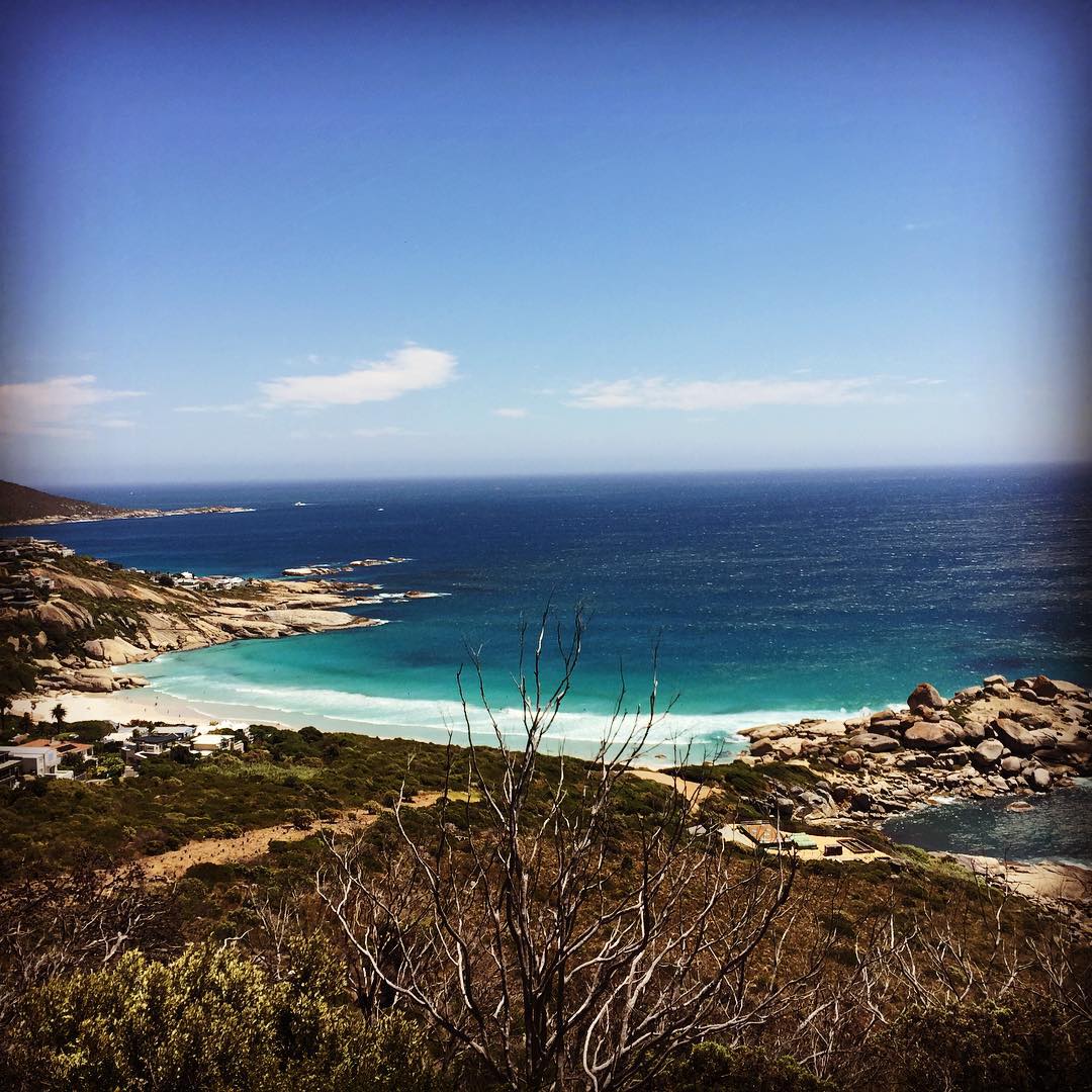 Not bad, South Africa. Not bad.