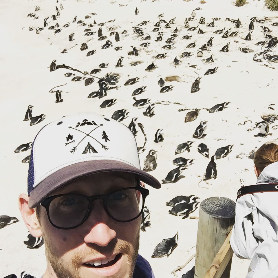 So many penguins!