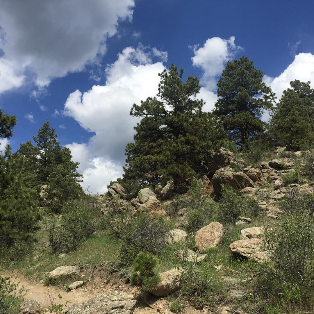 #nofilter #colorado #mountainbiking
