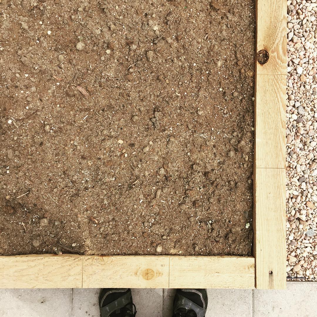 Garden Bed Grid Cuts