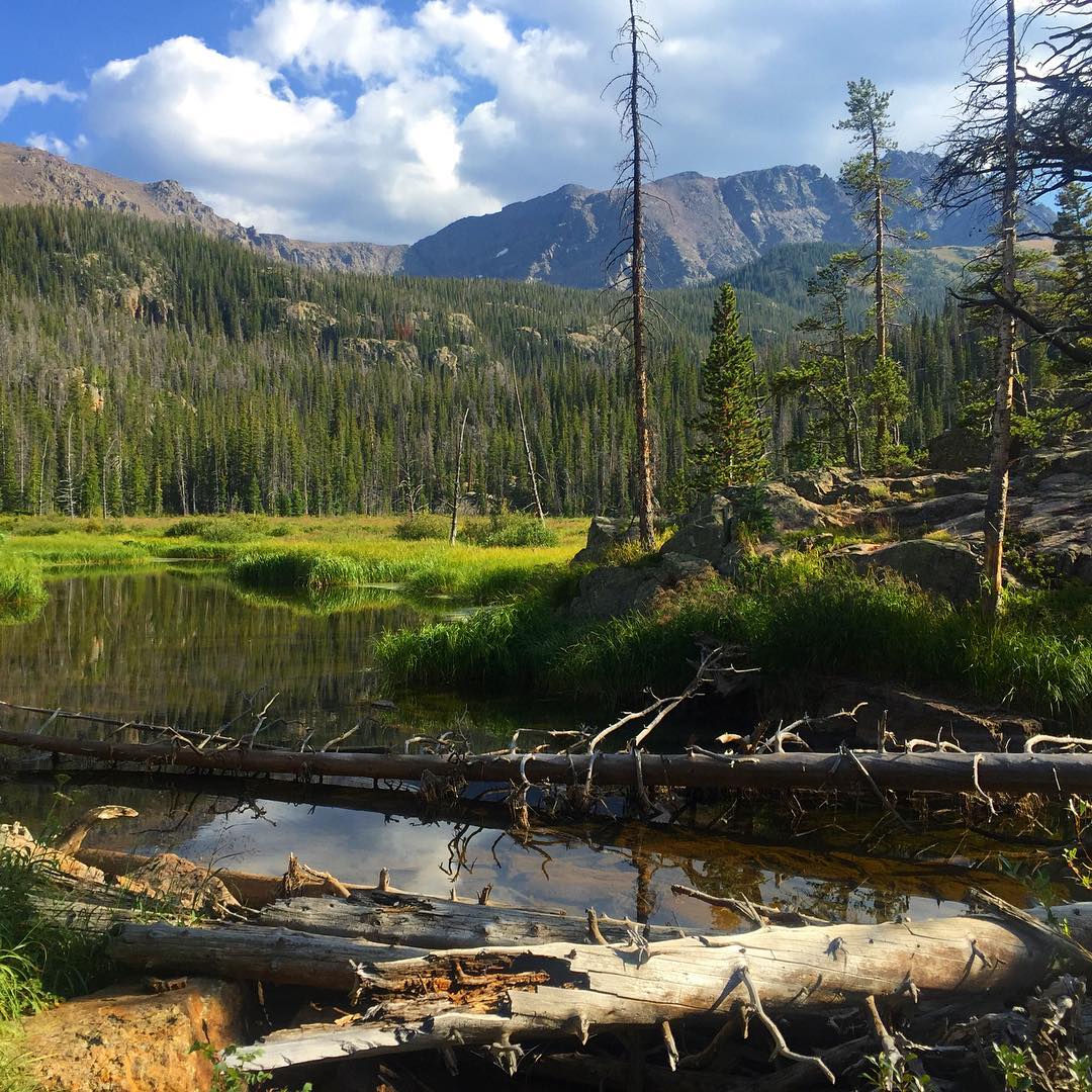 Right behind one of the campsites on the trail 😍 #backpacking #colorado #hiking #camping #mountains #sabbatical
