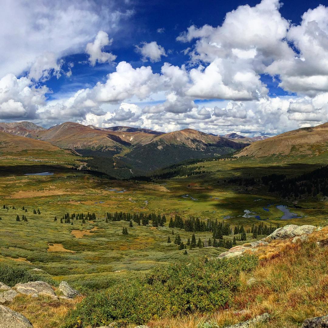 Incredible views from up here. #mtbierstadt #colorado #14er