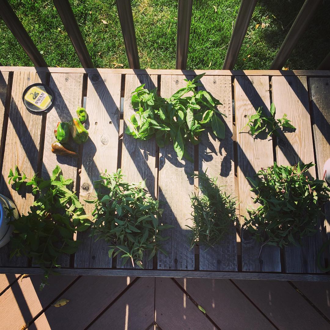 Hella Herb Harvest