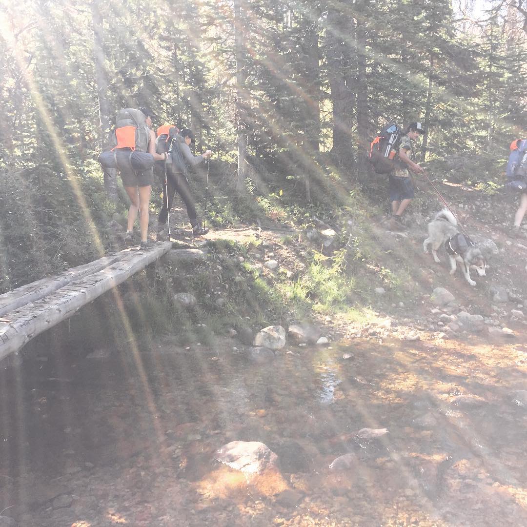 Log-bridge creek crossings under sunny lens-flares. #fjallclassic2016 @fjallravenusa