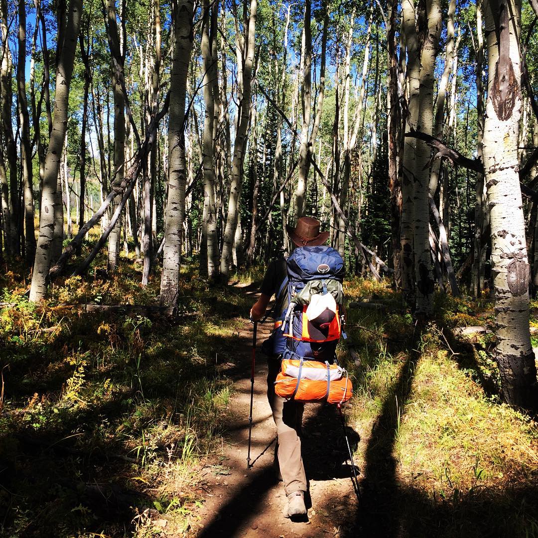 Gorgeous Aspen grove near the end of the #fjallclassic2016. Such a great trip. Thanks @fjallravenusa! #fjallclassic16