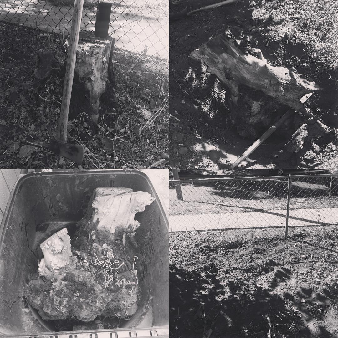 Take that, Stumpy McStumperson. Getting started on major front yard overhaul. #stump #gardening #landscaping
