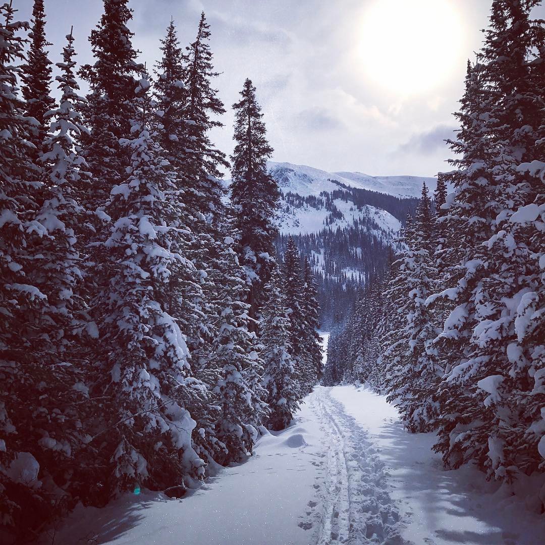 Snowshoeing. Blazing trails. #snow #trees #winter #colorado