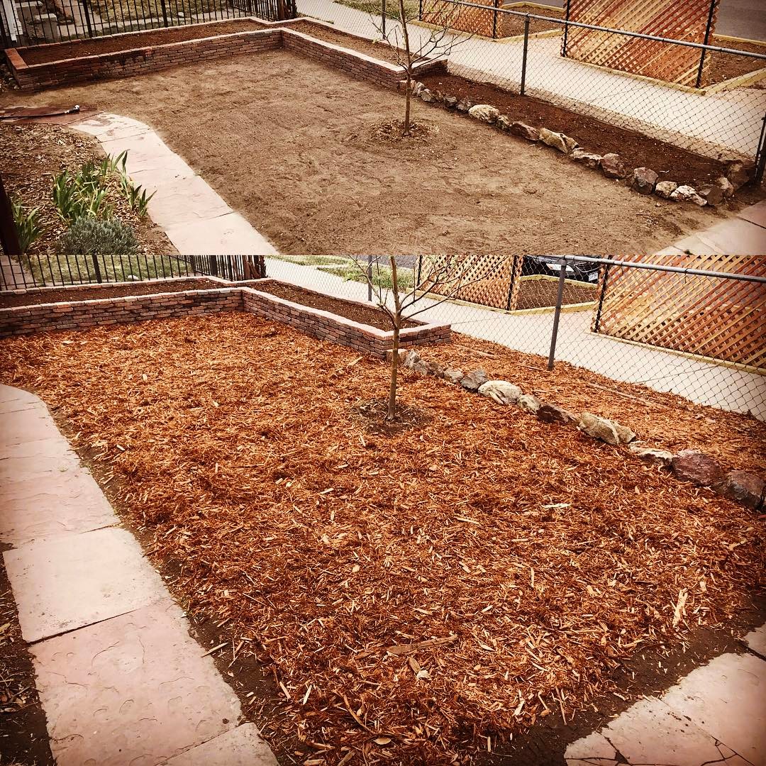Productive morning. #garden #yard #mulch