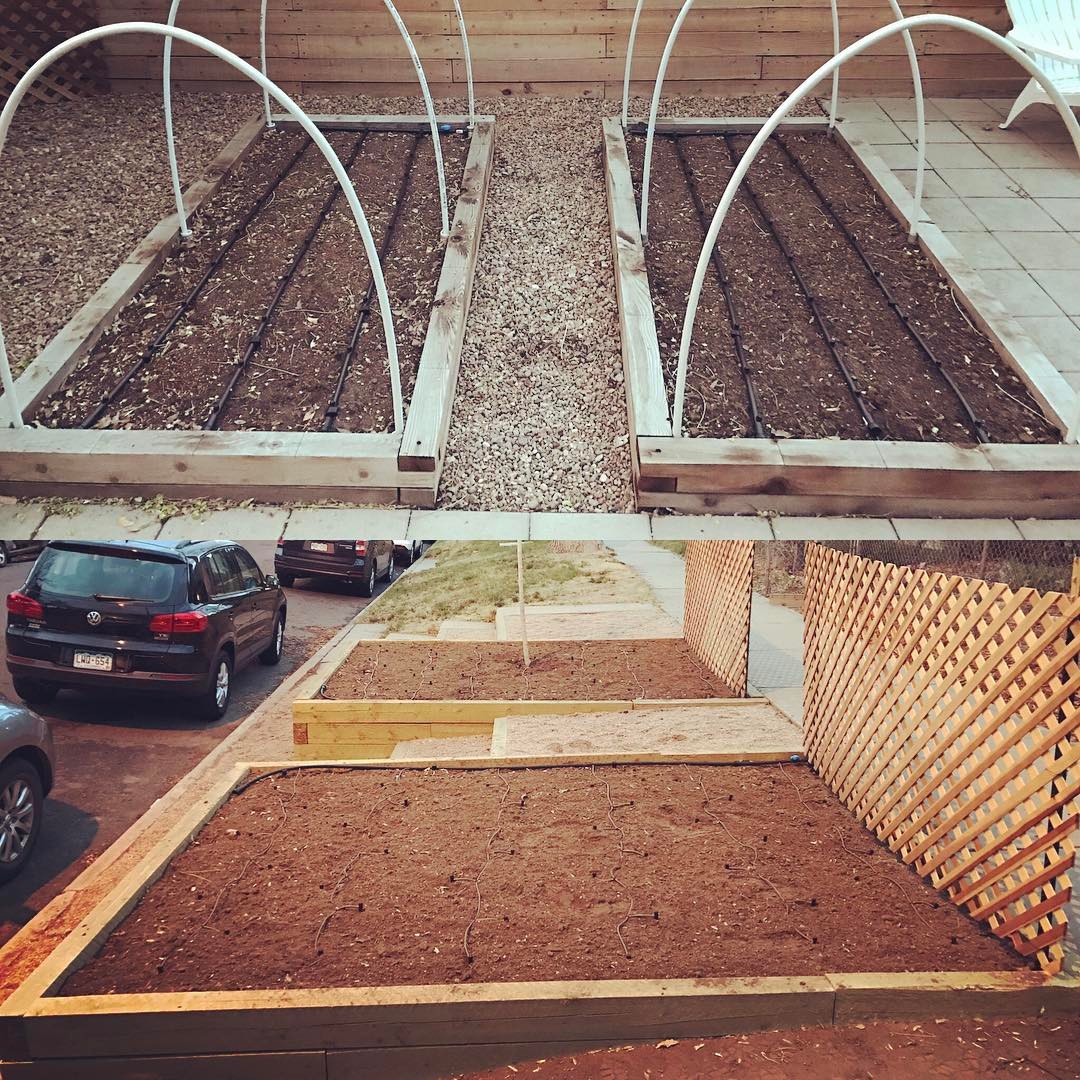 Finally got all of our irrigation in on all the beds. Officially ready for planting #garden #vegetablegarden #spring #irrigation