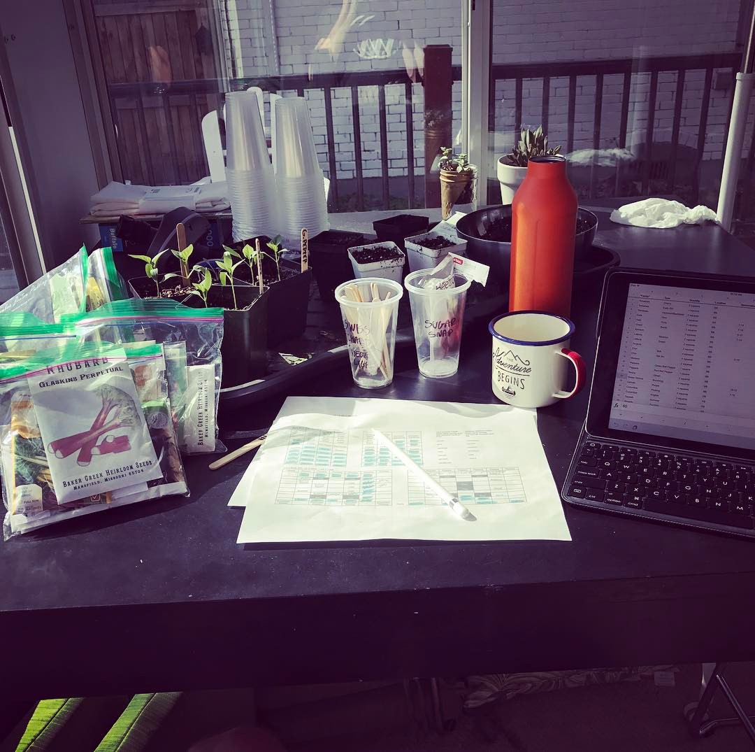 Serious garden planning business this morning.