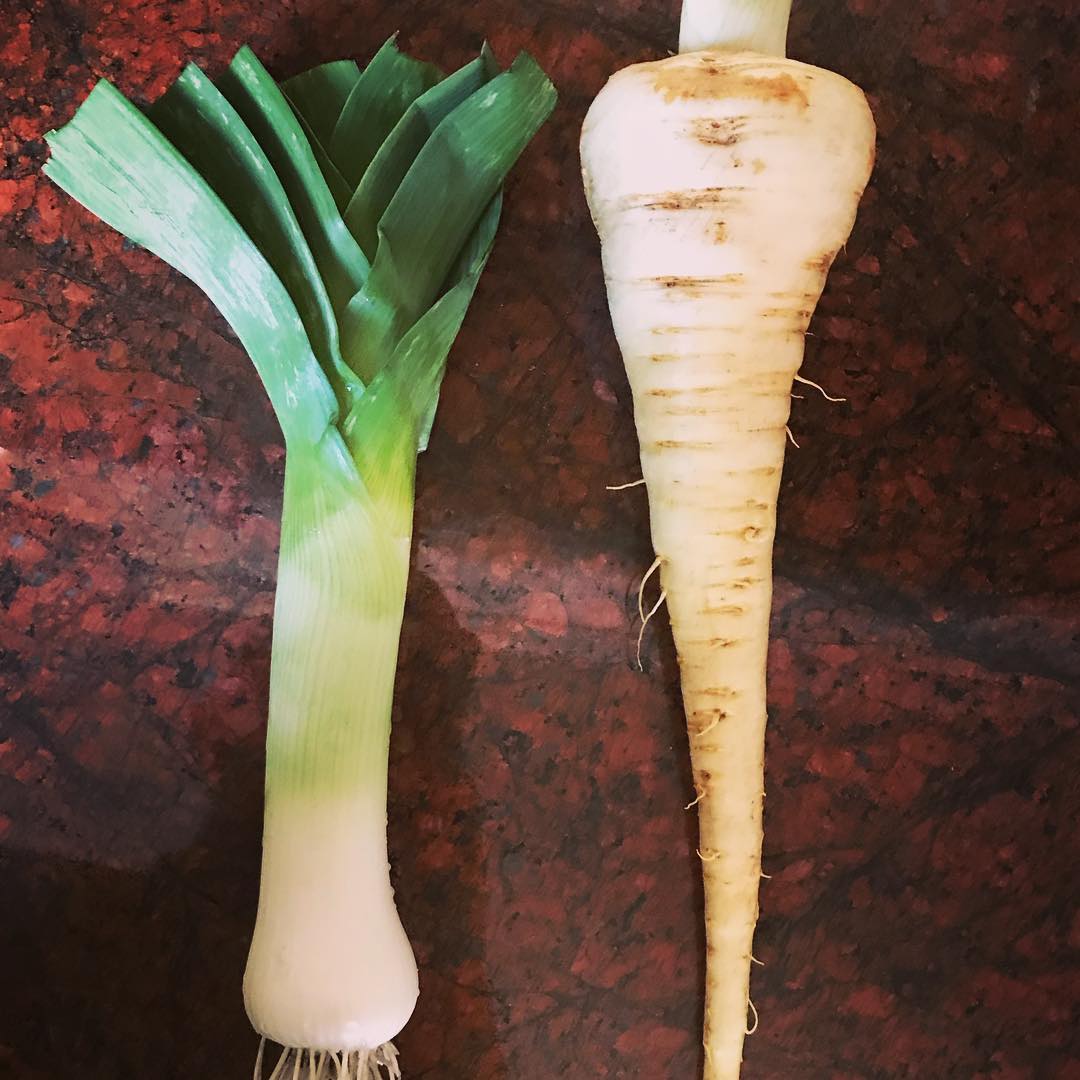 Leek. Parsnip. #todaysharvest #garden