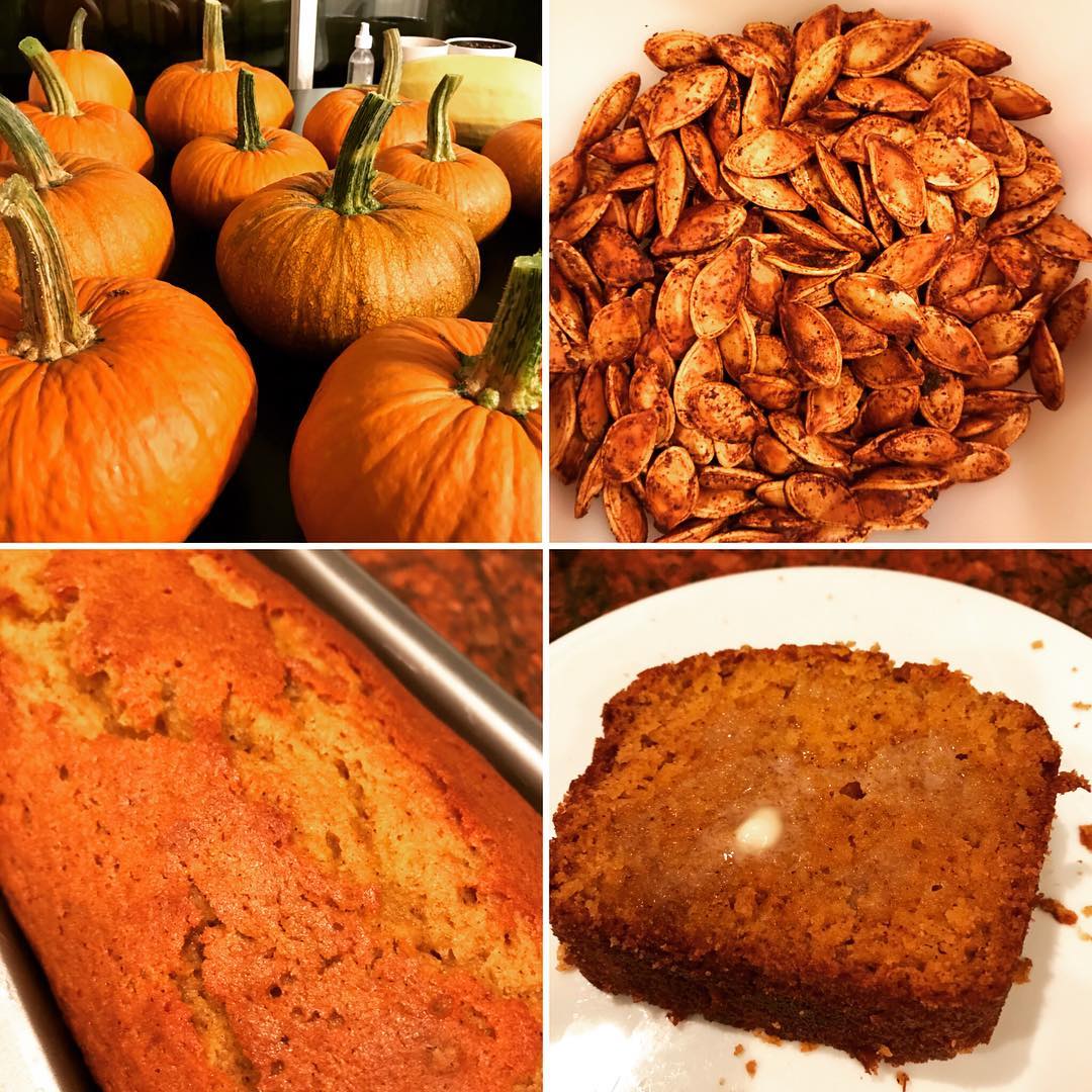 @akires and I turned one of our home grown pumpkins into roasted chipotle seeds and delicious bread. #winning