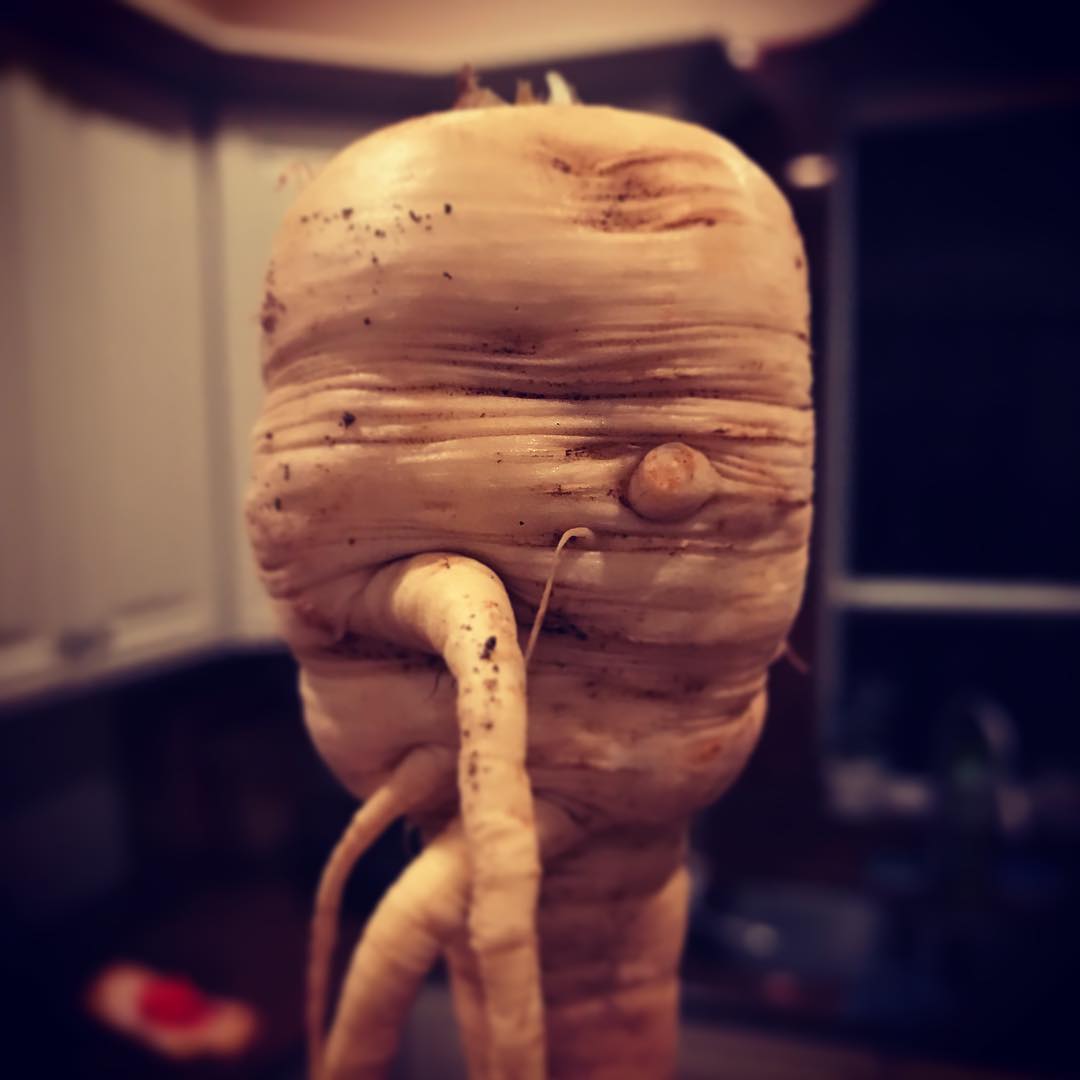 One-eyed Cthulhu Parsnip