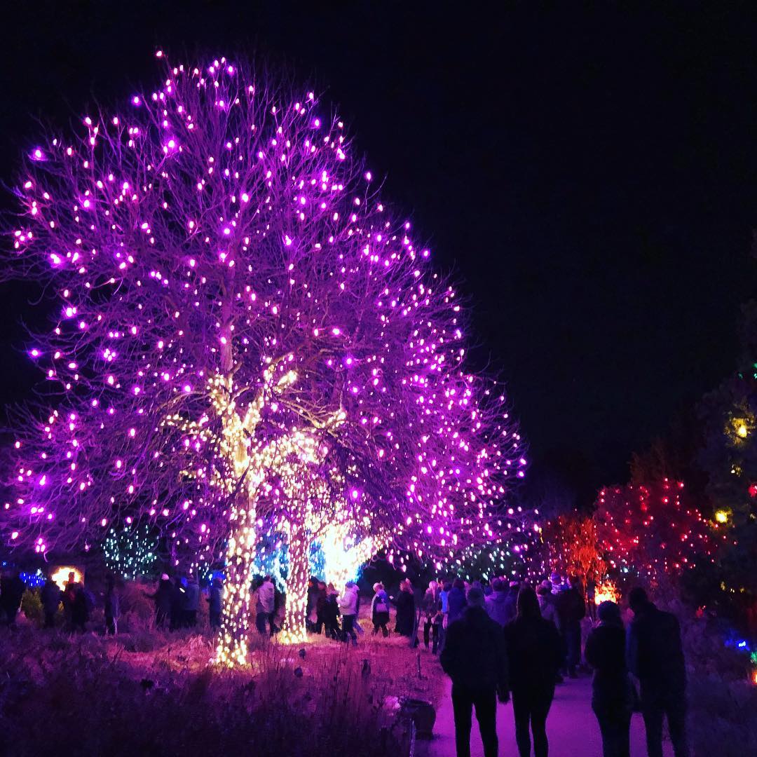 #blossomsoflight show is lit!