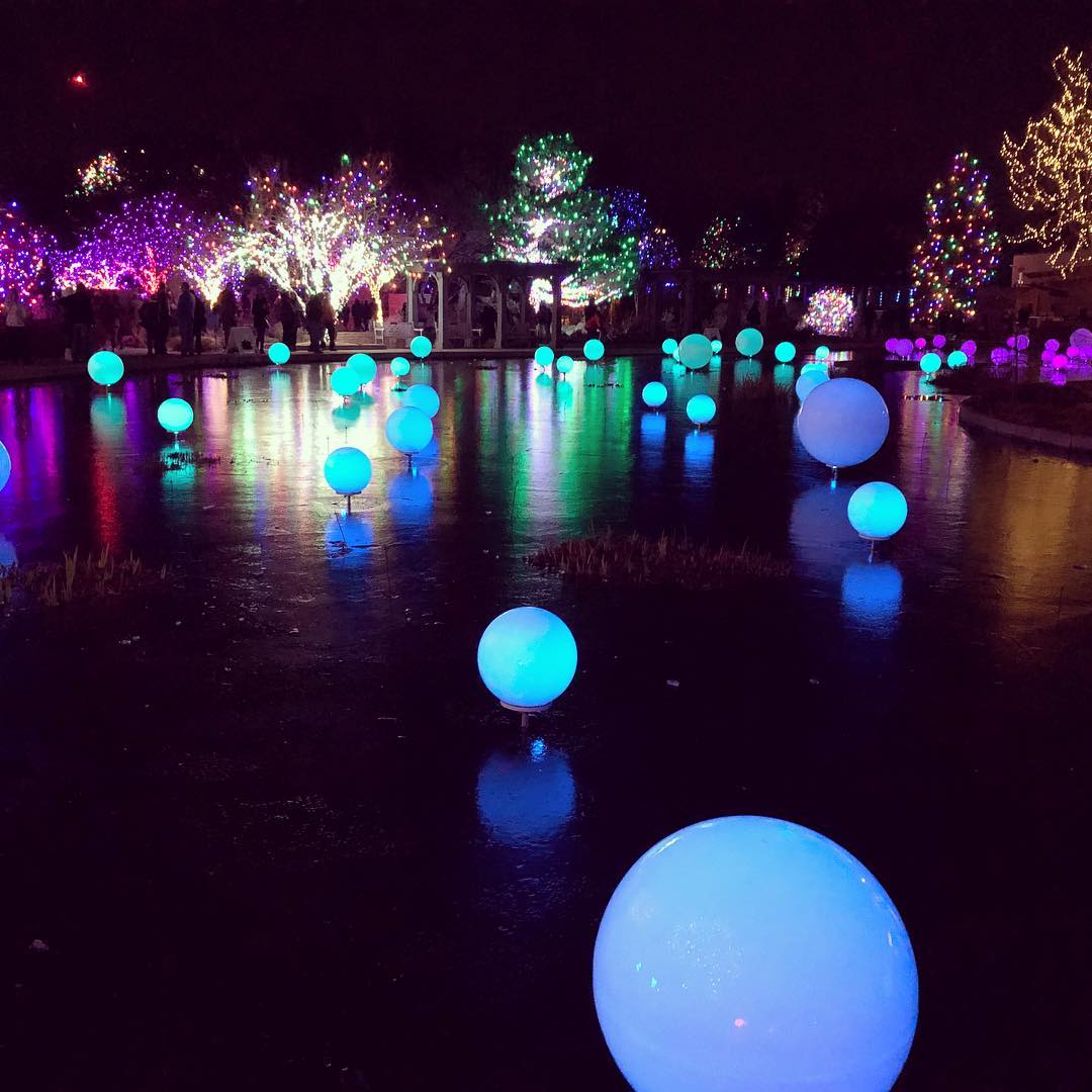 #blossomsoflight