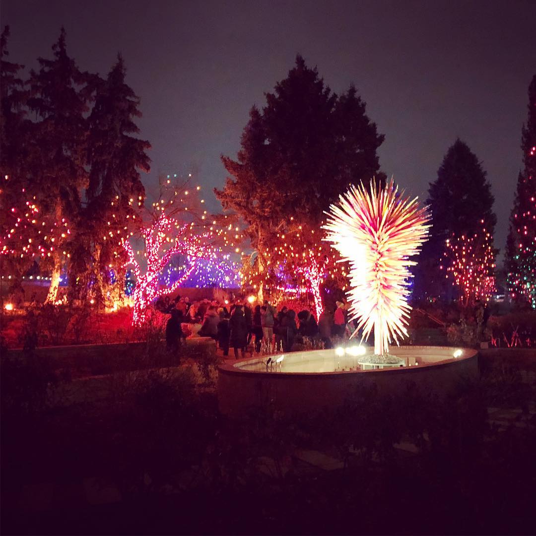 Chihuly at @denverbotanic
