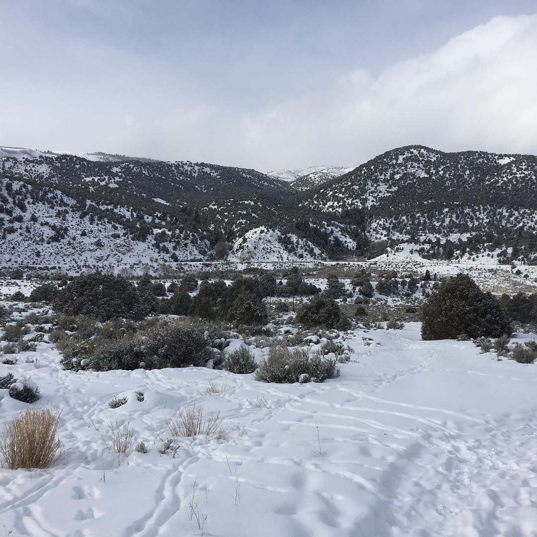 Near Radium Hot Springs. #nofilter