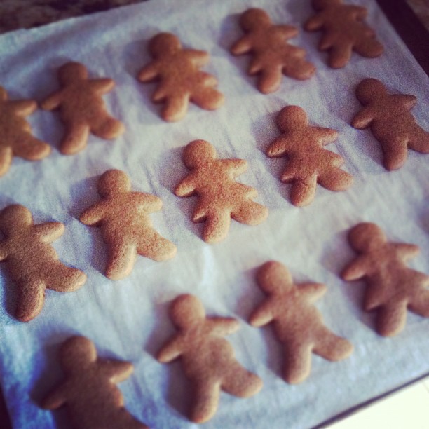 Mini ginger omnoms!