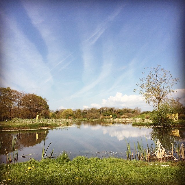 Placid Pond. #ullconf