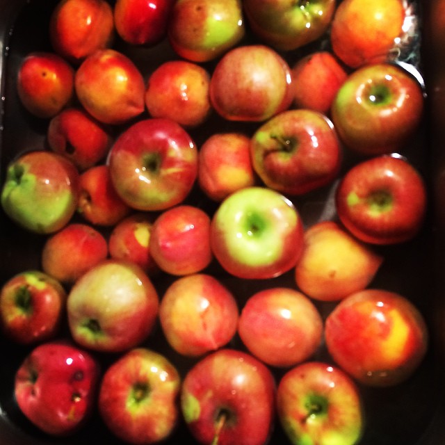 So @akires has turned me into a street fruit looter (apples and peaches!)