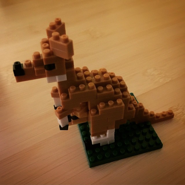 Nanoblock Kangaroo! Thanks @tizkai and @jellybeansandjealousy!